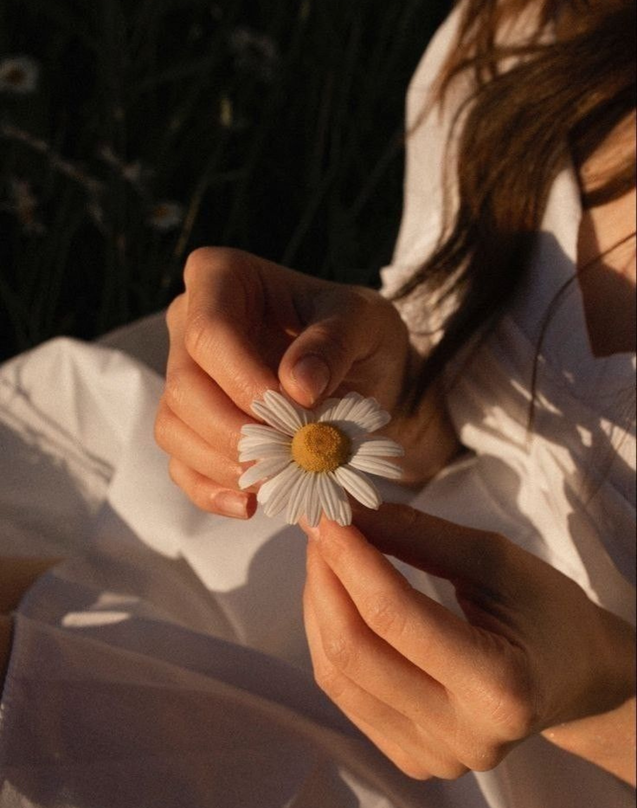 The Magic in the Micro: How Small Moments Can Create a Fulfilling Life